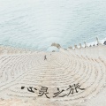 身体和灵魂的器乐
