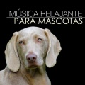 Música Relajante para Perros、Dormir e Meditar、Dormir Mucho