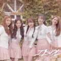 코튼캔디 (Cotton Candy)
