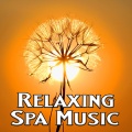 Relaxing Spa Music、Christmas Songs Music