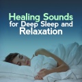 Healing Sounds for Deep Sleep and Relaxation、Native American Flute、Egyptian Meditation Temple