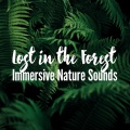 Forest Sounds、Ambient Forest、Rainforest Sounds