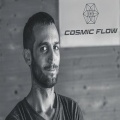Cosmic Flow、Status Zero