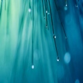 Naturaleza Sonidos、Atmósferas de Lluvia、Marvin Spa