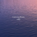 Calming Beats、Slofi、Lo Fi Beats