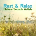 Rest & Relax Nature Sounds Artists、Zen Music Garden、Nature Sound Collection