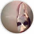 Martyn Hare、Squaric