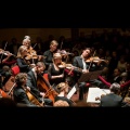 netherlands chamber orchestra、David Zinman