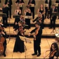 camerata bern、Alexander van Wijnkoop