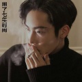歌者银狐
