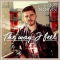 Sean Norvis、Copamore、DJ Lucian & Geo、Geo、Larisa Mester、DJ Lucian