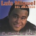 Luis Miguel del Amargue、El Sentir De La Bachata