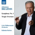 Kálmán Berkes、nicolaus esterhazy sinfonia、Koji Okazaki