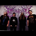 Organectomy