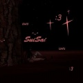 SuiSai