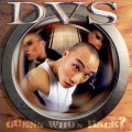 DVS、Efron