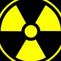 RayD8