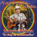 Joaquín Bedoya
