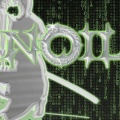 Noil