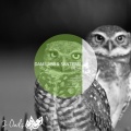 Dani Labb、Santierri