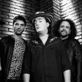 Los Animalitos