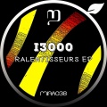 I3000
