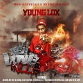 Young Lox、Young Fate、F.A.