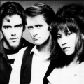 the alley cats