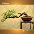 Marchese