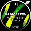 Radiolevel