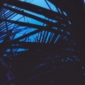 Pold、headless_DATA