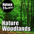 Nature Music、Nature Sounds for Sleep、Nature Sounds for Relaxation