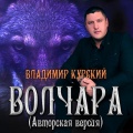 Владимир Курский