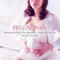 Pregnancy Academy、Pregnant Women Music Company