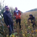 Manas、Phantom