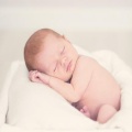 White Noise Collection、Nature Therapy、Sleep Sounds of Nature、Campfire Sounds