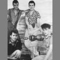 The Polecats、Jane Wiedlin