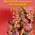 Ajay Wariar