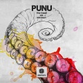 Punu
