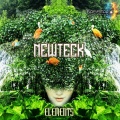 Newteck