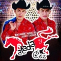 PATADA Y COZ