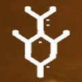 YYYY