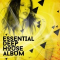 Essential House