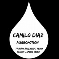 Camilo Díaz、Subgate、Tibiza