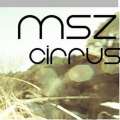 MSZ、Toppy