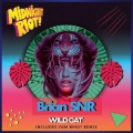 Brian Snr、Bangbang