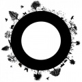 Circle Of Life