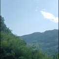 玉梅子 - 高山流云