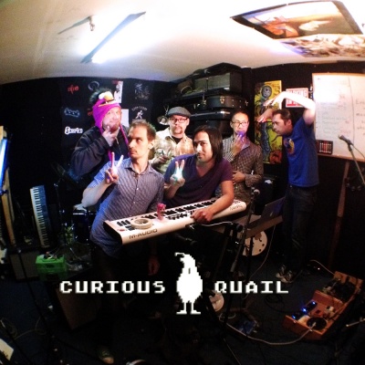 Curious Quail资料,Curious Quail最新歌曲,Curious QuailMV视频,Curious Quail音乐专辑,Curious Quail好听的歌