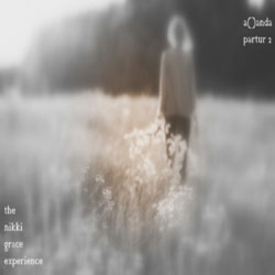 The Nikki Grace Experience资料,The Nikki Grace Experience最新歌曲,The Nikki Grace ExperienceMV视频,The Nikki Grace Experience音乐专辑,The Nikki Grace Experience好听的歌
